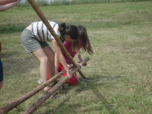 zvezdica zaspanka 096